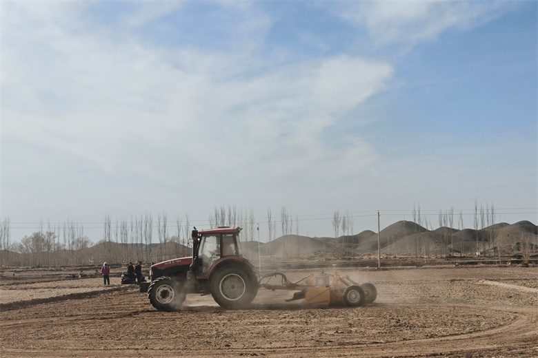 阿联酋阿布扎比可持续发展周展示沙漠农业科技突破成果